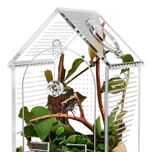 Clear Acrylic Reptiles Terrarium Breading Box with Removable Top Lid Ventilation Hole 12x12x20cm for Science Experiment Clear Herpeton Enclosure