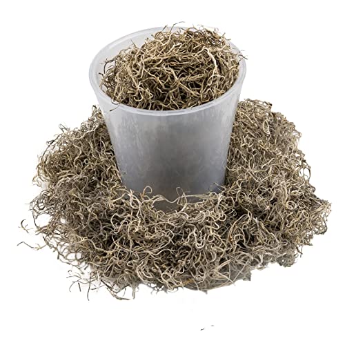 Gardenera Premium Natural Spanish Moss | Natural Preserved - Great Ground Cover - Filler for Potted Plants - 2 Quart Bag (GRD-SPANISH-MOSS-2QT) - color: SPANISH MOSS, size: 2 Quart