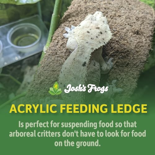 Josh's Frogs Acrylic Feeding Ledge (Holds 2-2 oz Cups) - size: For 2oz Cups