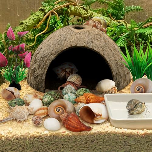 QUOZUO Hermit Crab Shells - Natural Coconut Shell Hut with Artificial Plants, Seashells for Crab Tank Hideouts - 22 PCS