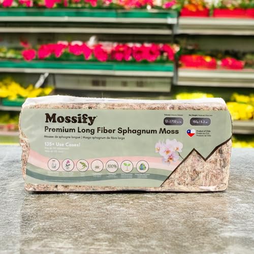 Mossify Premium Sphagnum Moss for Plants 1kg, 2.2 lbs - Long Fiber Moss for Plants Indoor, Orchids, Terrariums, Gardening, Reptiles – Moisture Plant Moss for Propagation, Soil & Habitat Bedding - size: 1kg (2.2 lbs)
