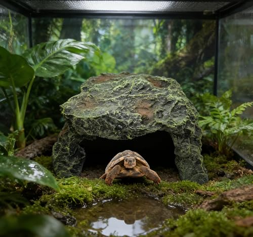 M2cbridge Aquarium Fish Hide Cave Reptile Hideout Cave Terrarium Amphibians Habitat Decor(Cave+ Water Dish) - style: Cave+ Water Dish