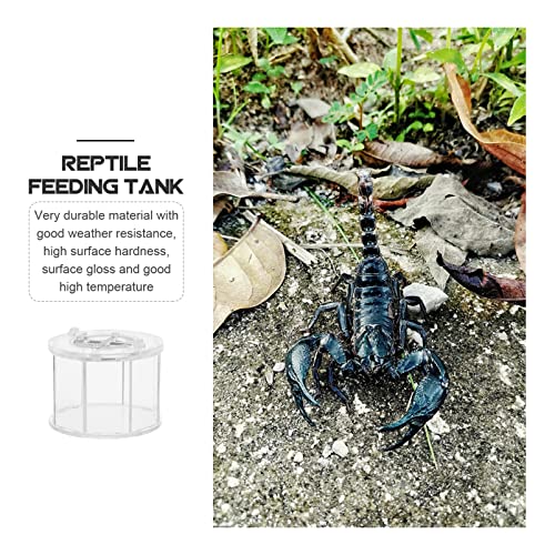 Box Insect Display Containers Reptiles Breeding Container Pet Supply Reptile -Escape Case Showing Case Clear Habitat Crawling Pet Holder Breeding Cage