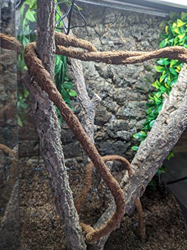 Josh's Frogs Coco Flexi-Vine (2.1 m, ~6.9 ft)