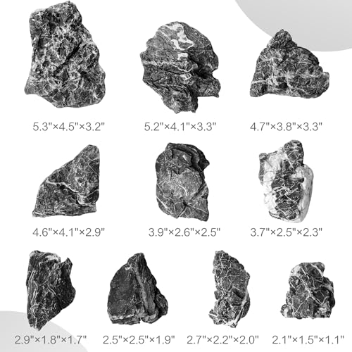 2.2-4.1 Inches Natural Seiryu Stone, 10 PCS Small Aquarium Rocks for Aquascaping, Iwagumi Layouts, Terrariums & Aquarium Décor - size: 2.2-4.1 in