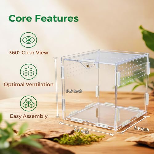 Portable Travel Jumping Spider Enclosure, Acrylic Terrarium for Spider, Magnetic Lock Spider Habitat & Small Terrarium Ventilated for Tarantula,Mantis,Frog,Insect Enclosure cage(5.9×5.9×5.9 Inch) - size: 5.9×5.9×5.9 Inch