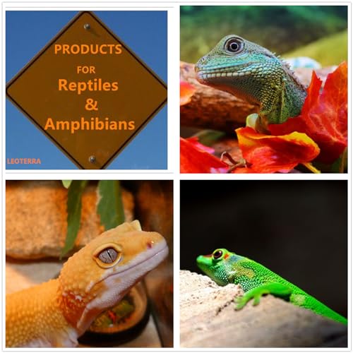 Leoterra 75W Reptile Basking Spot Bulb (2-Pack),Thickened Glass UVA Heat Lamp for Medium 20-40 Gallons Terrariums,Ideal for Juvenile Bearded Dragons, Blue Tongue Skinks, Aquatic Turtle Docks(E26 110V) - style: B8075 Basking light
