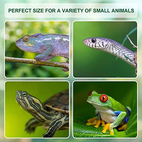 BETAZOOER Reptile Terrarium Breeding Tank Acrylic Reptile Feeding Box with Temperature Hygrometer (15.3"x9.7"x7.6") - size: Large