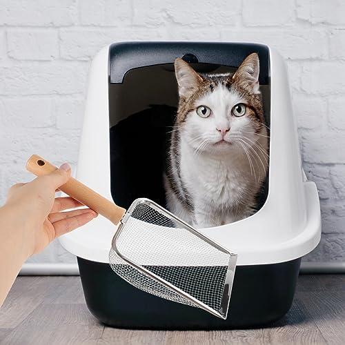 Kisangel Pet Reptile Litter Scoop Waste Shovel for Cleaning Reptile Litter Compact Design for Corners for Turtles Lizards Geckos and Snakes