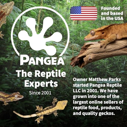 Pangea Microdish Kit for Gecko Feeding, Tiny Water Dish for Micro Geckos, Anoles, and Other Small Reptiles, Zip Tie Attachment Pet Food Bowl 1.5in x .75 in (S Branch Mount) - size: S Branch Mount