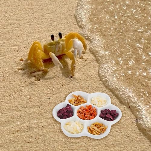 5.51" Hermit Crab Ceramic Food Dish,7 Compartments Ceramic Anti-Turning Food & Water Bowl for Hermit Crab Tarantula Snail - size: 6 inch