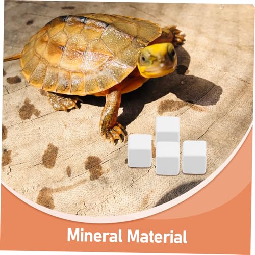balacoo 6pcs Natural Mineral Block for Reptiles and Crustaceans Essential Snack for Aquariums Prolonged Mineral Release Safe and Health for Lizards and Crabs