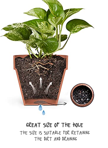 LE TAUCI Plant Pot Hole Mesh Pads, 4-Inch Round Flower Pot Drainage Covers, Prevent Soil Loss, Durable Reusable, Bonsai Bottom Grid Mat, Gardening Essentials, 50-Pack - size: 4*4 inches