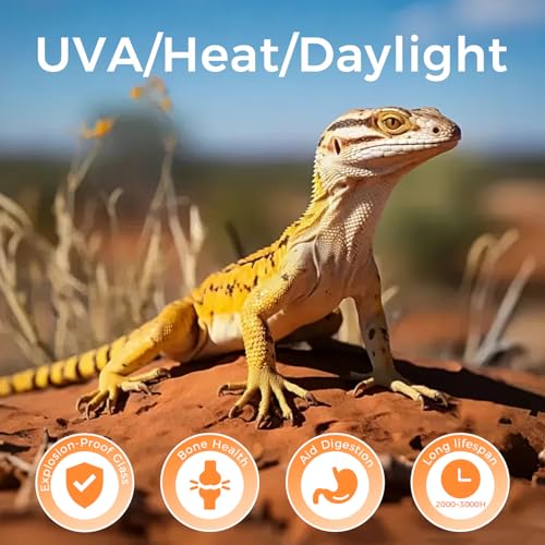 Reptile Heat Lamp 100W, Daylight UVA Basking Light Bulbs with E26 Base for Lizards, Turtles, Snakes and Amphibians 2 Pack - style: Basking 100W 2Pack