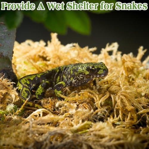 Halatool 3.5OZ Natural Sphagnum Moss for Reptiles Premium Reptile Moss Ideal Terrarium Moss for Box Turtles Hermit Crabs Leopard Gecko Snakes and Hamsters Enclosure - size: 3.5oz