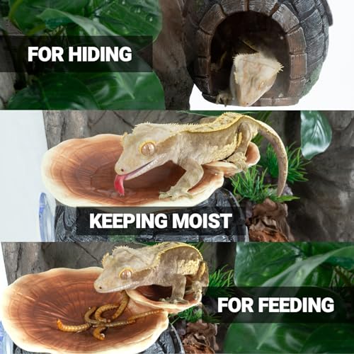 REPTI ZOO Reptile Hide, Multifunctional with Suction Cup, Resin Reptile Hides, and Caves for Reptiles, Gecko, Lizard (Ganoderma Lucidum Shape)
