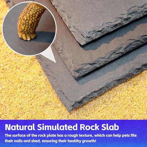 Natural Slate Basking Platform for Reptiles Bearded Dragon Tortoise Turtle Habitat Accessory Heat Retention, Anti-Slip Design, Feeding Tray Functionality, and Superior Water Absorption(12'' x 8'') - size: 12'' x 8''