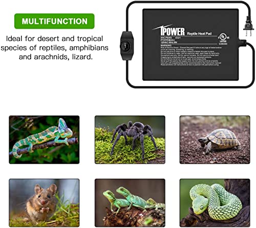 iPower 6 by 8-Inch 8 Watts Reptile Heating Mat with Temperature Controller Under Tank Warmer Terrarium Heat Pad for Reptiles and Amphibians, Black - size: 6 X 8 Inch, style: 1 Pack with Adjustable Knob