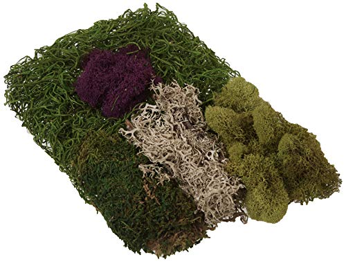 SuperMoss (23310) Moss Mix - Best Sellers, 80.75 Cubic Inch Bag (Appx. 2 Ounce) - color: 0, size: 80.75 in3 Bag (Appx. 2oz)