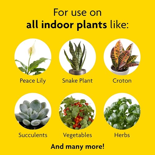 Houseplant Food, 8.4-oz. Pack of 3 - size: 3 Pack