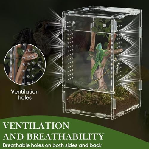 Acrylic Reptile Habitat – Escape-Proof Front Opening, 20x12cm Clean, Transparent View, Ventilated Design | Enclosure for Jumping Spiders, Observation, Home, Bedroom, Living Room, Office, Pet Store