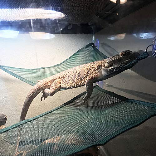 ADOGGYGO Bearded Dragon Lizard Hammock, Reptile Lounger Ladder, Bearded Dragon Hammock Accessories for Geckos Lizards Reptile (Green)