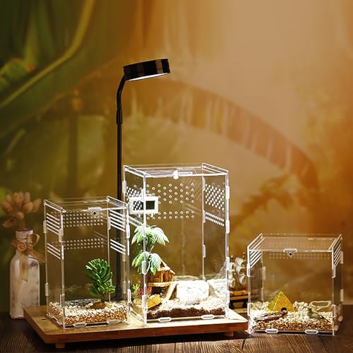 Mini Reptile Terrariums Tank, Tarantula Enclosure, Chameleon cage, Amphibians Habitat Cages for Small Reptiles, Geckos, Snakes, Lizards, Turtles, Serpents -Acrylic(4.7 * 4.7 * 8 inchs) - color: 1#