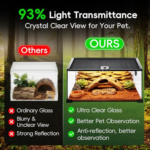 10 Gallon Reptile Terrarium Glass Kit 20" x 12" x 10" Starter Habitat for Tarantula, Succulents, Frogs, Gecko, Snake or Hermit Crabs, Tank with Escape-Proof Locking Lid - size: 10 gallon