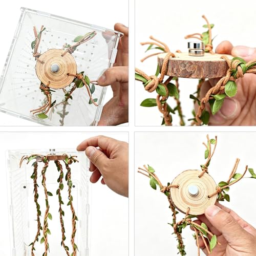 Jumping Spider Enclosure Accessories – Wood Cotton Rope 6x6x1cm 36cm Vine Set | Reptile Cage Climbing Toys for Habitat Enrichment | Natural Terrarium Decoration for Jumping Spiders Lizard