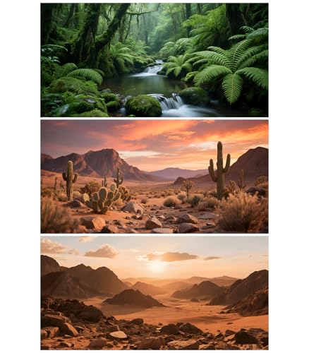 3 Pack Terrarium Background Polyester Reptile Background，Gobi Sunshine Cactus Stone & Green Tree Fern Stream Terrarium (48 inches x 24 inches) - size: 48 x 24 inches