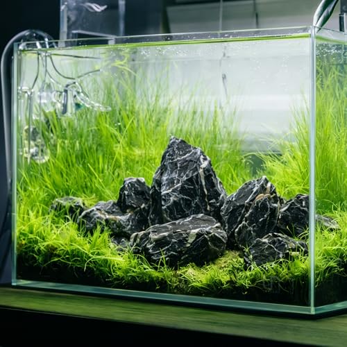 2.2-4.1 Inches Natural Seiryu Stone, 10 PCS Small Aquarium Rocks for Aquascaping, Iwagumi Layouts, Terrariums & Aquarium Décor - size: 2.2-4.1 in