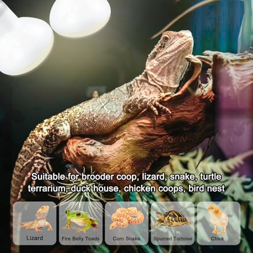 Reptile Heat Lamp 75W, 2 Pack Daylight UVA Basking Light Bulbs with E26 Base for Lizards, Turtles, Snakes and Amphibians - style: Basking 75W 2Pack