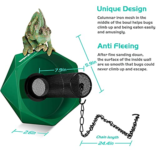 Chameleon Feeding Kit, Come with a Hookable Feeding Bowl and a Reptile Water Feeder, Perfect for Leaving Your pet Whilst on Vacation