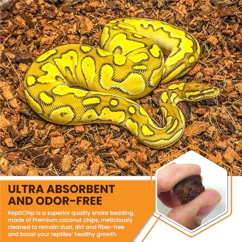 ReptiChip Reptile Substrate Coconut Chip Bedding 72 Quart Compressed Organic Coco Husk Block for Snake Habitat, Ball Python Terrarium, Turtle Tanks, Tortoise Enclosure (5 Pk) - size: 5 Pack Breeder Bundle
