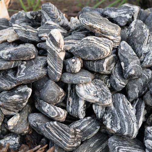 Silver Seiryu Rock Aquarium Rocks 40lb Natural Mountain Stone for Fish Tanks, Aquascaping, Terrariums, Bonsai, Garden Landscaping & Reptile Habitats(2-10inch 12-14Pcs) - size: 40lb (2-10inch)
