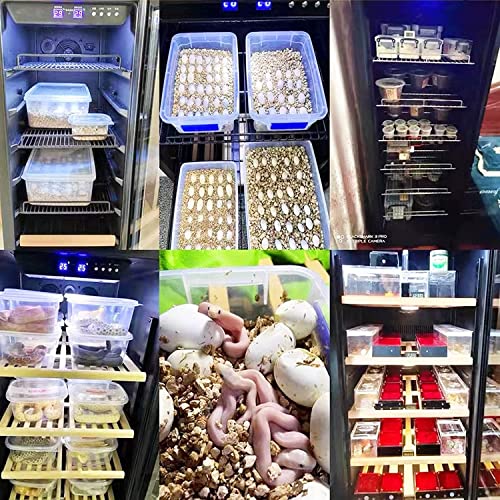 Large Automatic Incubator Incubator Cooling and Heating 41℉ to 100℉ 110V， ReptileIncubator for Hatching Eggs, Reptile Egg Incubator W/Precise Temperature Control LED (240L) - size: 240L