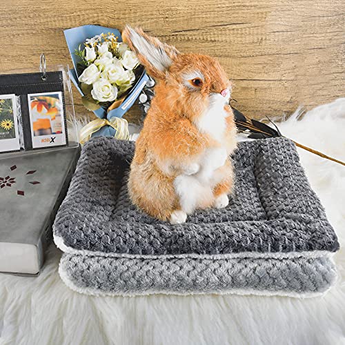 Small Animal Bed Mat, Soft & Warm, Suitable for Guinea Pig, Hamster, Rabbit, Rat and Bearded Dragon (X-Large(13.3''x9.4''), Mesh Black) - color: Mesh Black, size: X-Large(13.3''x9.4'')