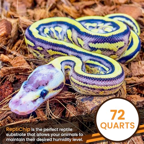 ReptiChip Reptile Substrate Coconut Chip Bedding 72 Quart Compressed Organic Coco Husk Block for Snake Habitat, Ball Python Terrarium, Turtle Tanks, Tortoise Enclosure (10 Pk) - size: 10 Pack Breeder Bundle