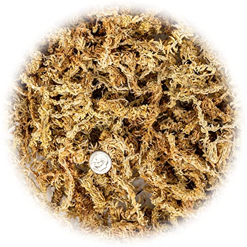 GARDENERA Premium Sphagnum Moss - Organic Hand Mixed New Zealand Long Fibered Sphagnum Moss Orchid - 1 Quart Bag - size: 1 QUART