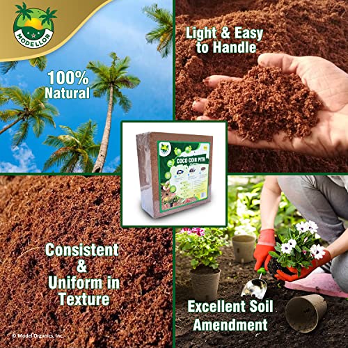 MODELLOR (10 lb) Premium Super Washed Coco Coir Brick, High Yield 18 to 20 gallons [72 to 80 quarts], Seed Starter, Organic, pH Balanced, Gardening, Indoor, Outdoor use