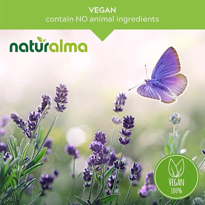 Naturalma Ginkgo (Ginkgo biloba) Leaf Alcohol-Free Tincture - 6.76 fl oz Liquid Extract in Drops - Herbal Supplement - Vegan