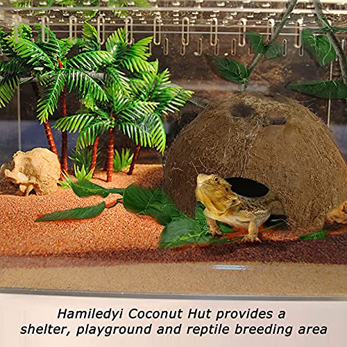 Hamiledyi Reptile Hideouts Natural Coconut Shells Hut Hermit Crab Climbing Toys Gecko Hide Cave Lizard Habitat Decor Plant Leaves Decoration for Spider Snake Chameleon (4Pcs)