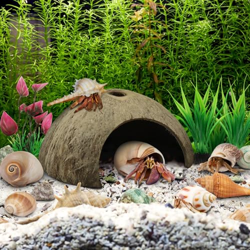 QUOZUO Hermit Crab Shells - Natural Coconut Shell Hut with Artificial Plants, Seashells for Crab Tank Hideouts - 22 PCS
