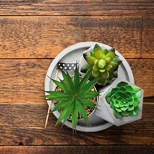 264 ft Greenery Ribbon Leaf Vines & 5 Pcs Large Size Faux Succulents Set
