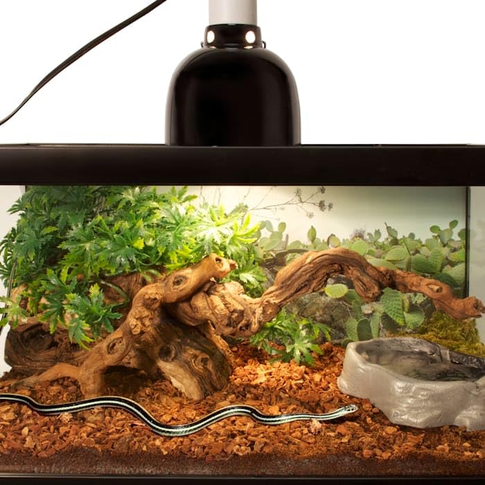 Zoo Med Premium Reptile Bark, 24qt