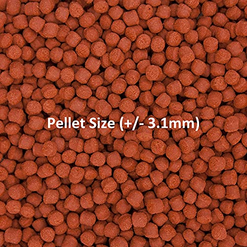 Ocean Nutrition Fish Food - Tropical Fish Food, Soft Moist Sinking Pellets, High Protein(41%) Guppy Fish Food, Fish Food Flakes Alternative, 7 oz (200 g), Medium Pellet - size: 7 Ounce (Pack of 1), style: Medium Pellet