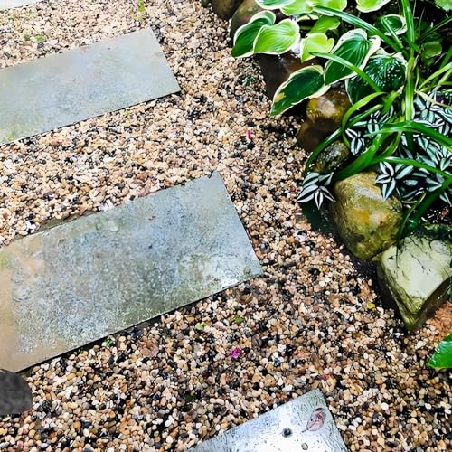 FANTIAN 40 lbs Aquarium Gravel, 2/5 Inch Pea Gravel for Fish Tank, Decorative Rocks for Freshwater Tank, Outdoor Pond, Garden Landscaping, Terrarium, Soil Drainage - size: 2/5 Inch