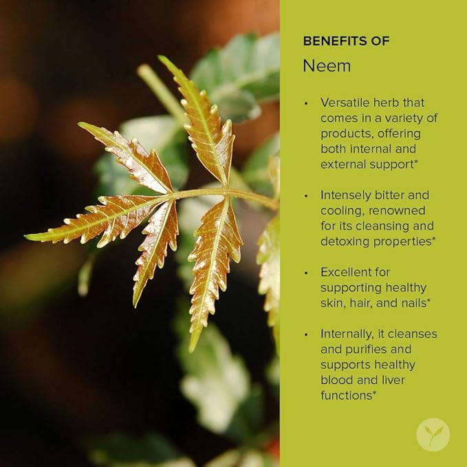 Banyan Botanicals Neem Powder - Organic Azadirachta Indica - Purifying Ayurvedic Herb for Healthy Skin & Blood* – 1 lb. – Fair for Life Sustainably Sourced Non-GMO Vegan