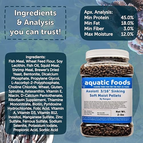 Axolotl Food, 3/16" Soft Moist Sinking Pellets, Rangen's Salmon Meal Pellets for Medium & Adult Axolotl. Also Shrimp, Snails, Crabs, All Tropical Fish...11oz Small Jar | For Adult Axolotl, Also for Shrimp, Snails, Crabs, Crayfish, Bottom Tropical Fish - s