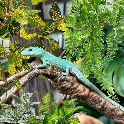 Hamiledyi 5 Pcs Reptile Plants Terrarium Hanging Fake Plant Leaves, Bearded Dragon Tank Accessories, Habitat Decor for Snake Leopard Gecko Lizard Chameleon Spider Turtle (Style 3) - size: 5 PCS - Style 3